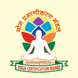 YogaCertificacionBoard1